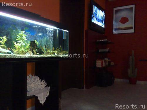 Villa Sunrise Hotel 16